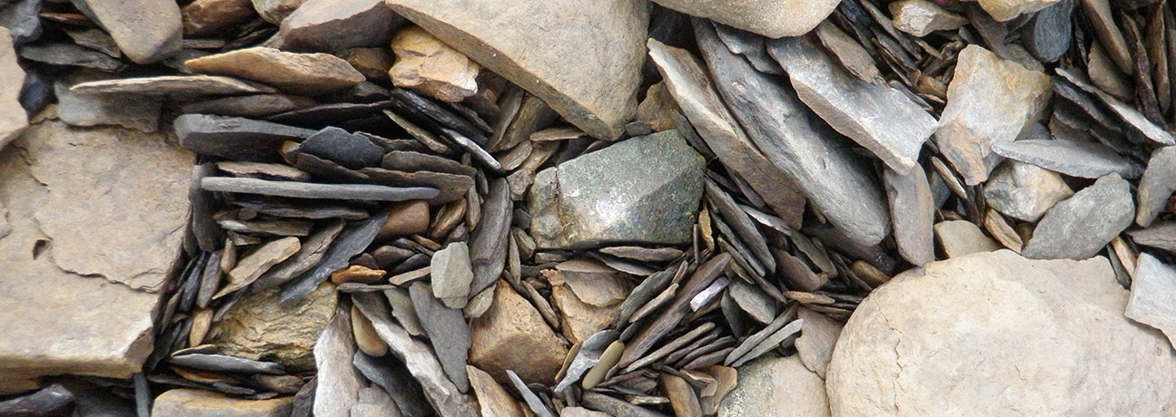 A collection of rocks