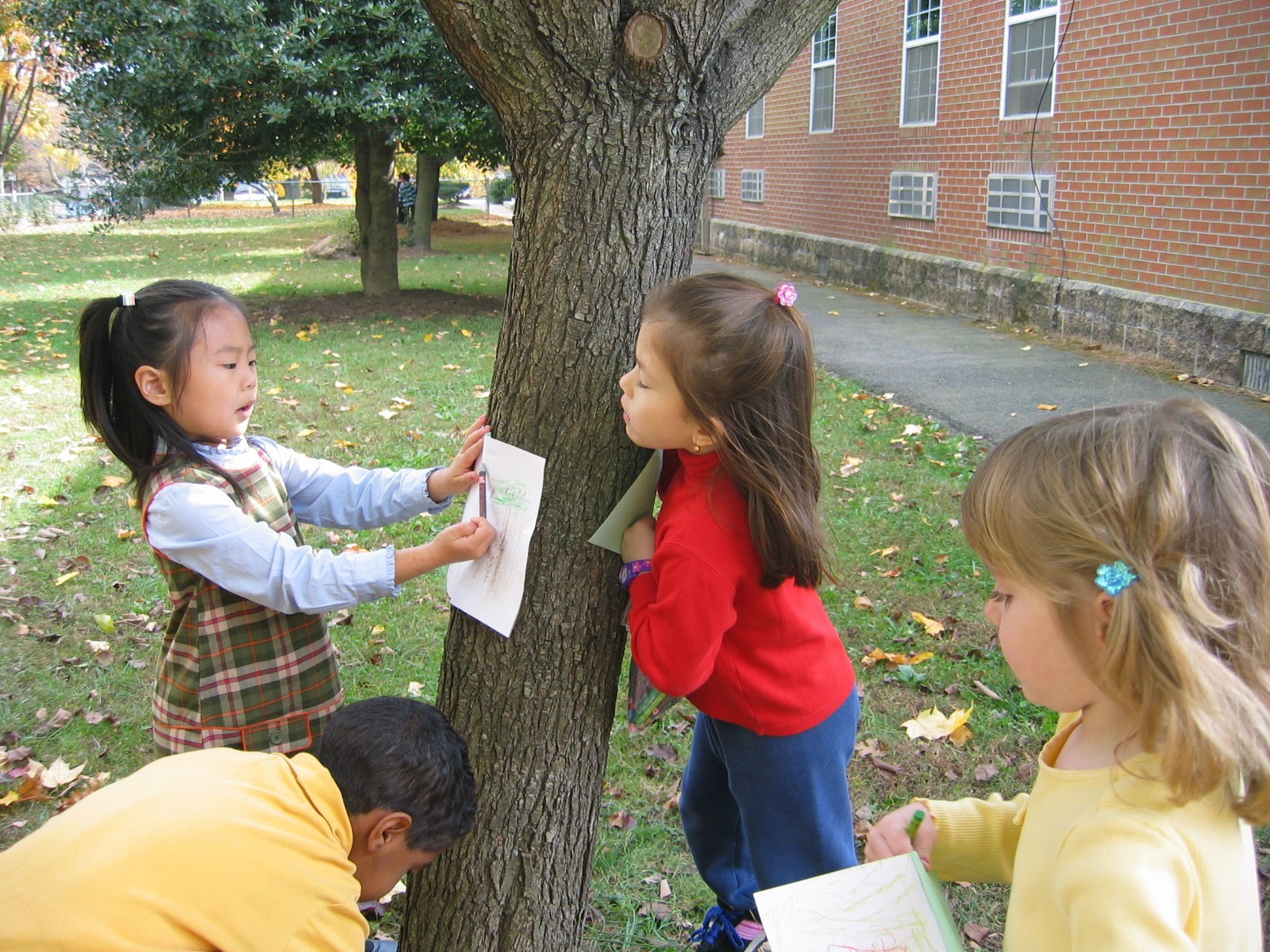 Four young children hold a paper up to tree bark during learning activity.