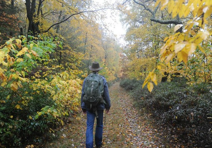 man walking along forest path