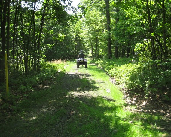 person riding atv along forested trail