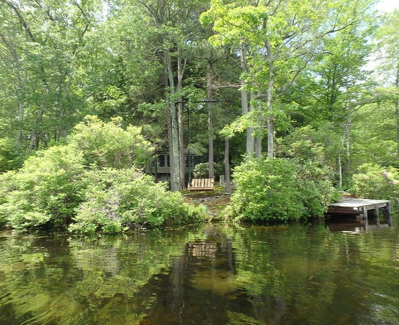 small cabin hidden on a forested shoreline with a small dock floating in the water