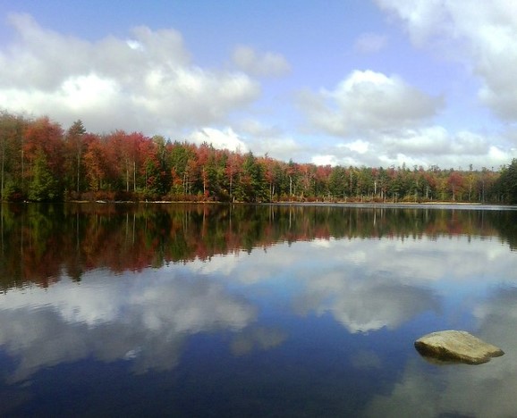 Forested shoreline reflected in lake water in autumn with partly cloudy skies