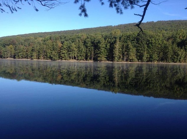 Forested shoreline reflected in lake water