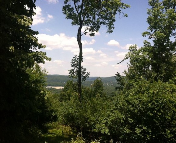 view of partly cloudy skies and distant mountains framed by dark green trees