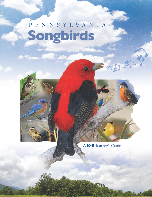 Pennsylvania Songbirds activity guide book cover