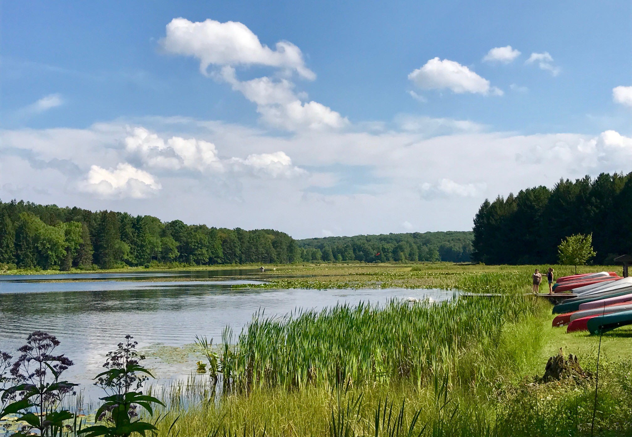 a lake surrounded by lush green forests and grasslands and some boats moored along the edge