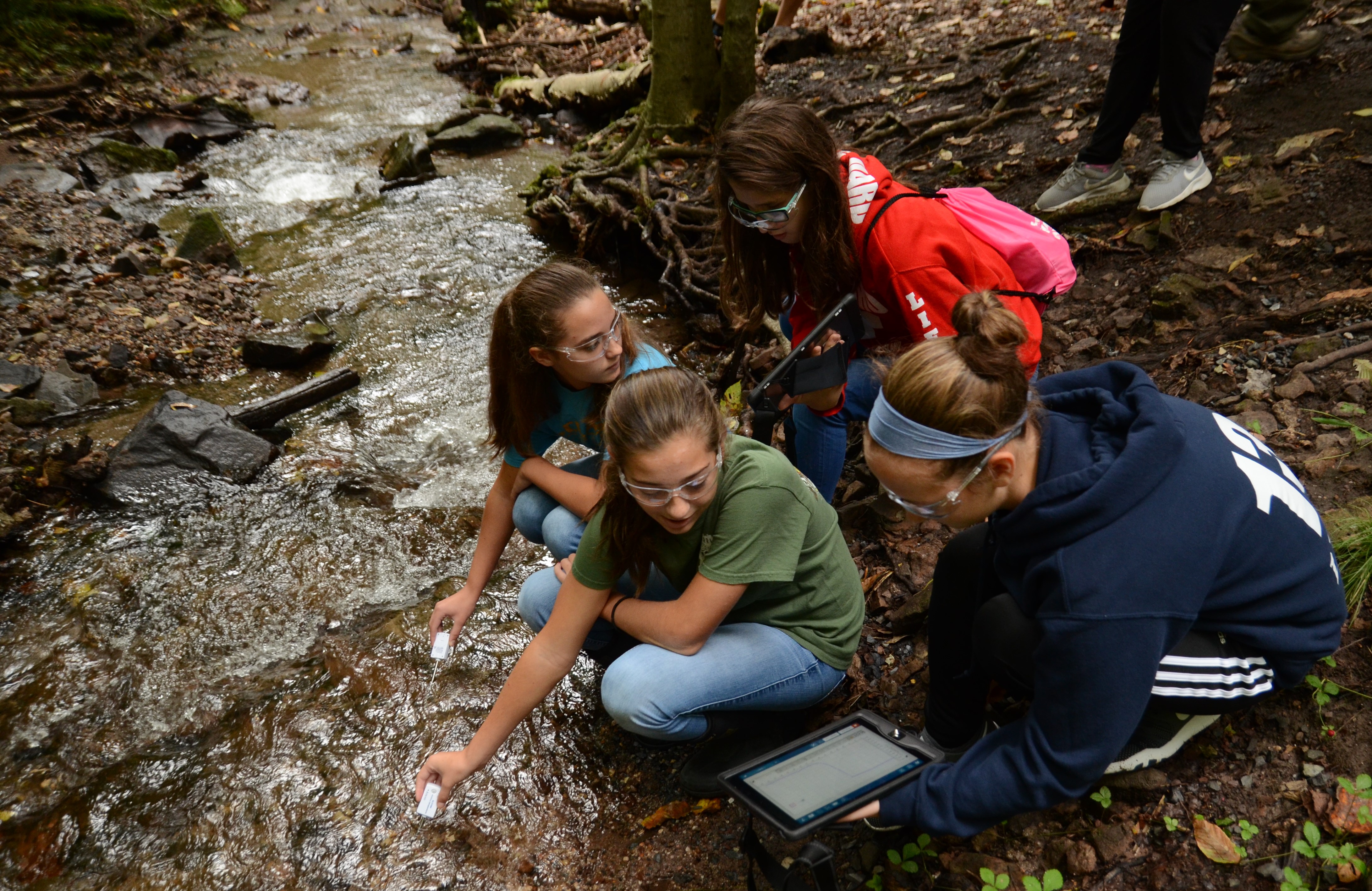 Four female students using ipads to test water quality along a stream