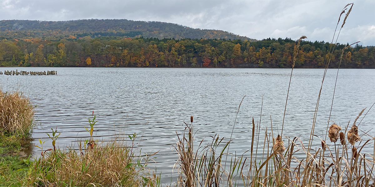 Scenic photo of Colyer Lake, Centre County on a cloudy fall day. You can see lake post structures installed in the lake in the background.