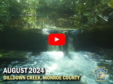 Thumbnail from a video of a timelapse of PFBC and partners removing a dam on Dilldown Creek to restore natural stream flow.