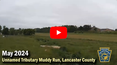 Thumbnail from a video of a timelapse of PFBC and partners removing a dam on an unnnamed tributary to Muddy Run in Lancaster County