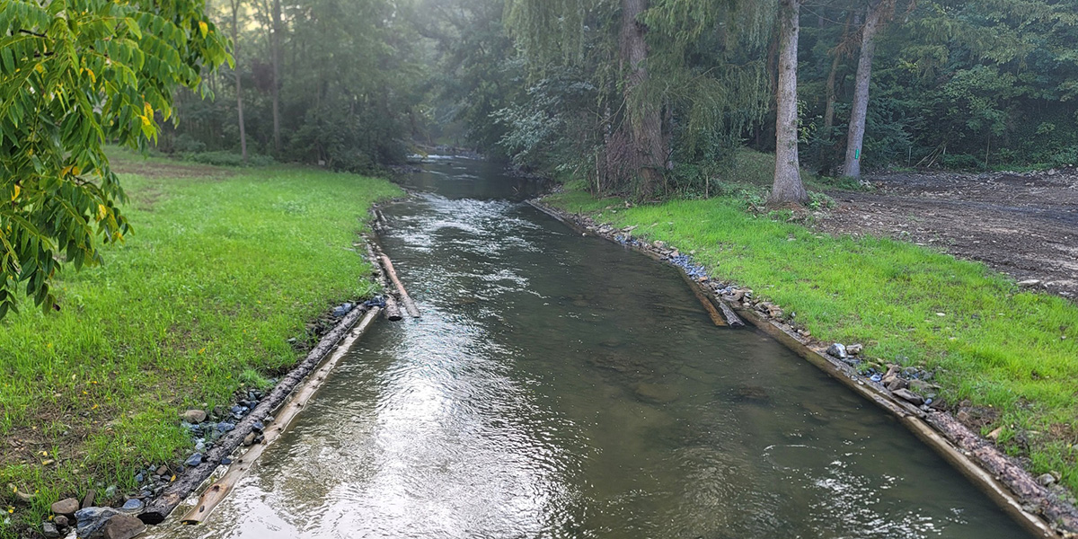 Spruce Creek with streambank habitat improvement installed.