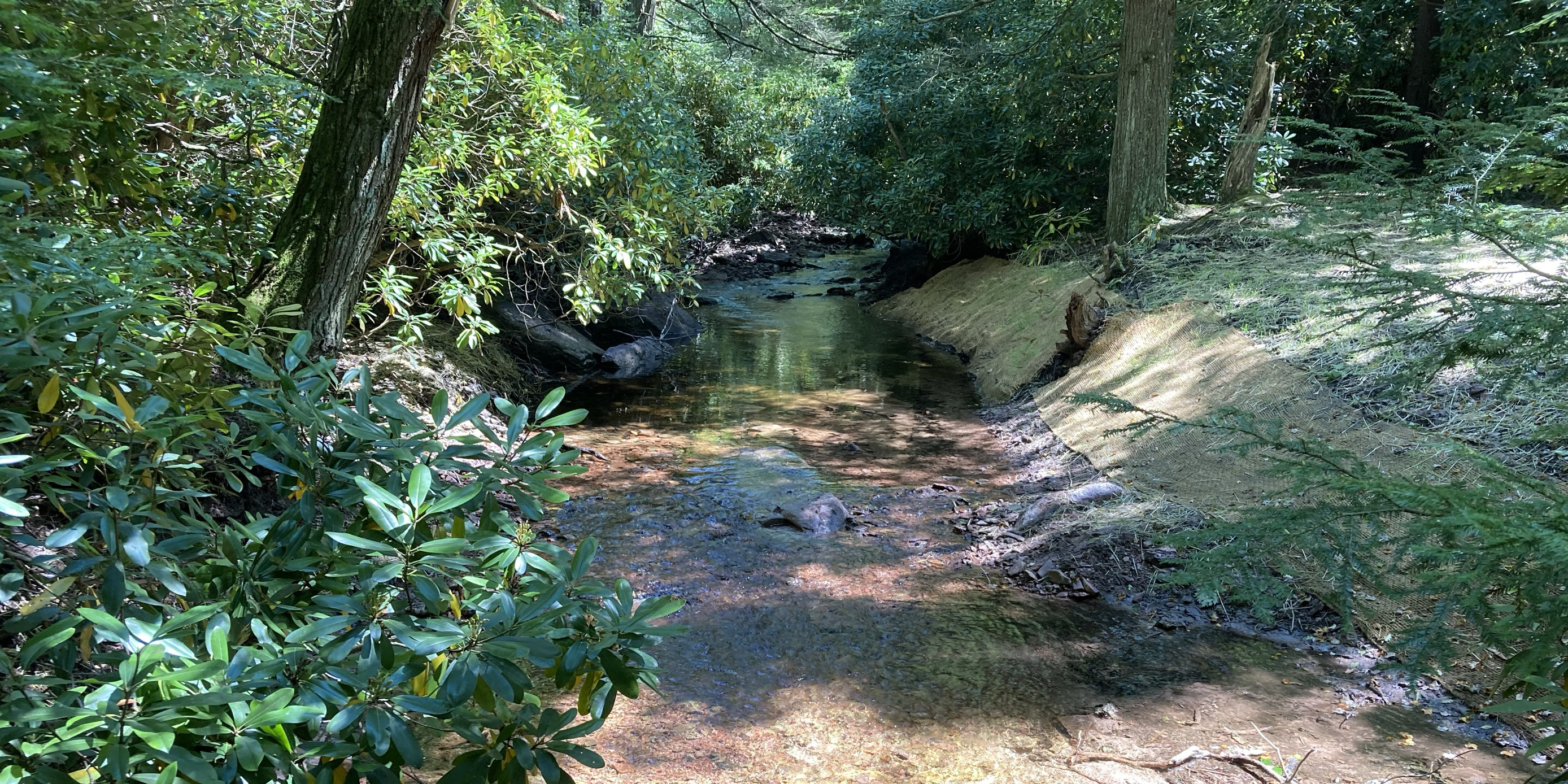 Photo of Dilldown Creek after Habitat improvement to remove a dam and restore natural flow to the stream.