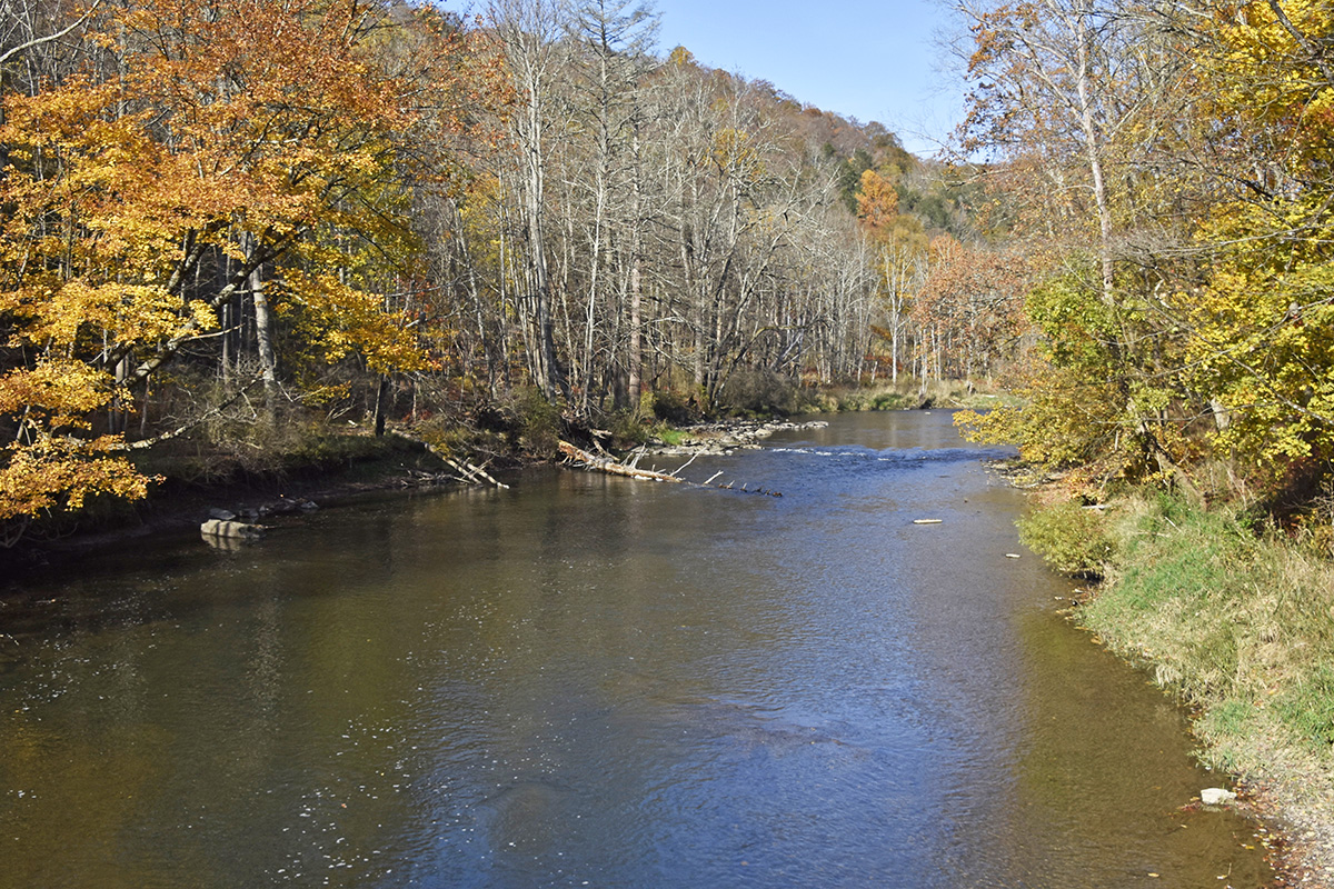 Overview shot of Penns Creek during the fall season