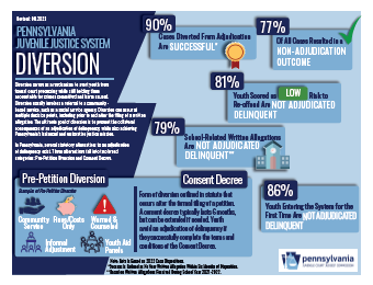 Infographic Diversion