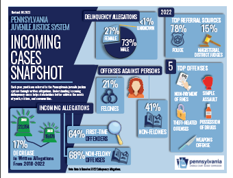 Infographic Incoming Cases Snapshot