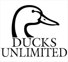 duck unlimited logo