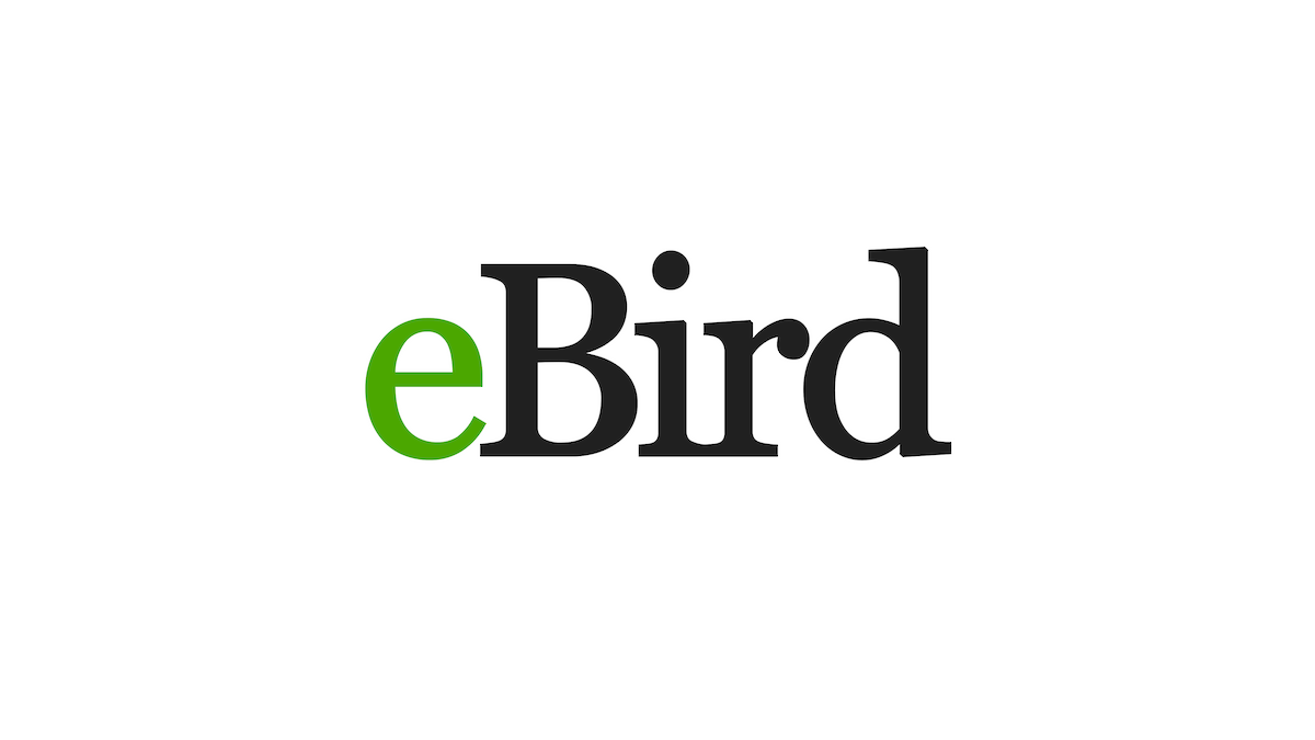 ebird