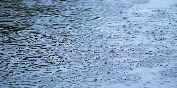 Water pools on a roadway.